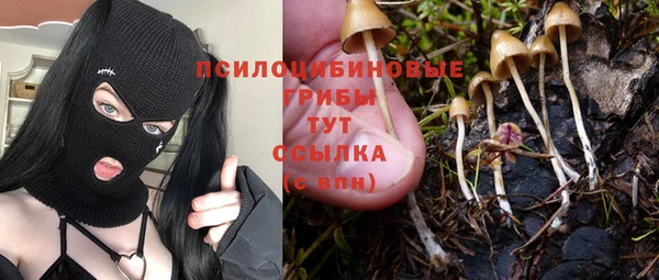 а пвп мука Магадан